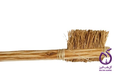 درخت مسواک یا چوب مسواک ارگانیک